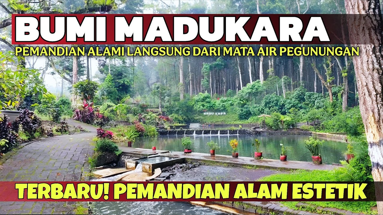 PEMANDIAN ALAM ESTETIK DI BANYUWANGI! Suasana Terkini Wisata Alam Madukara Banyuwangi - SEJUK ALAMI