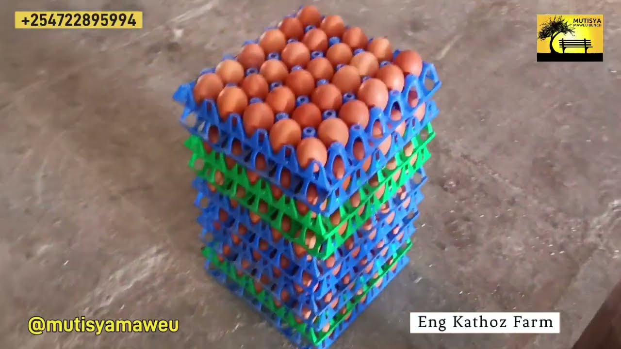 Eng Kathoz invests heavily on poultry farming