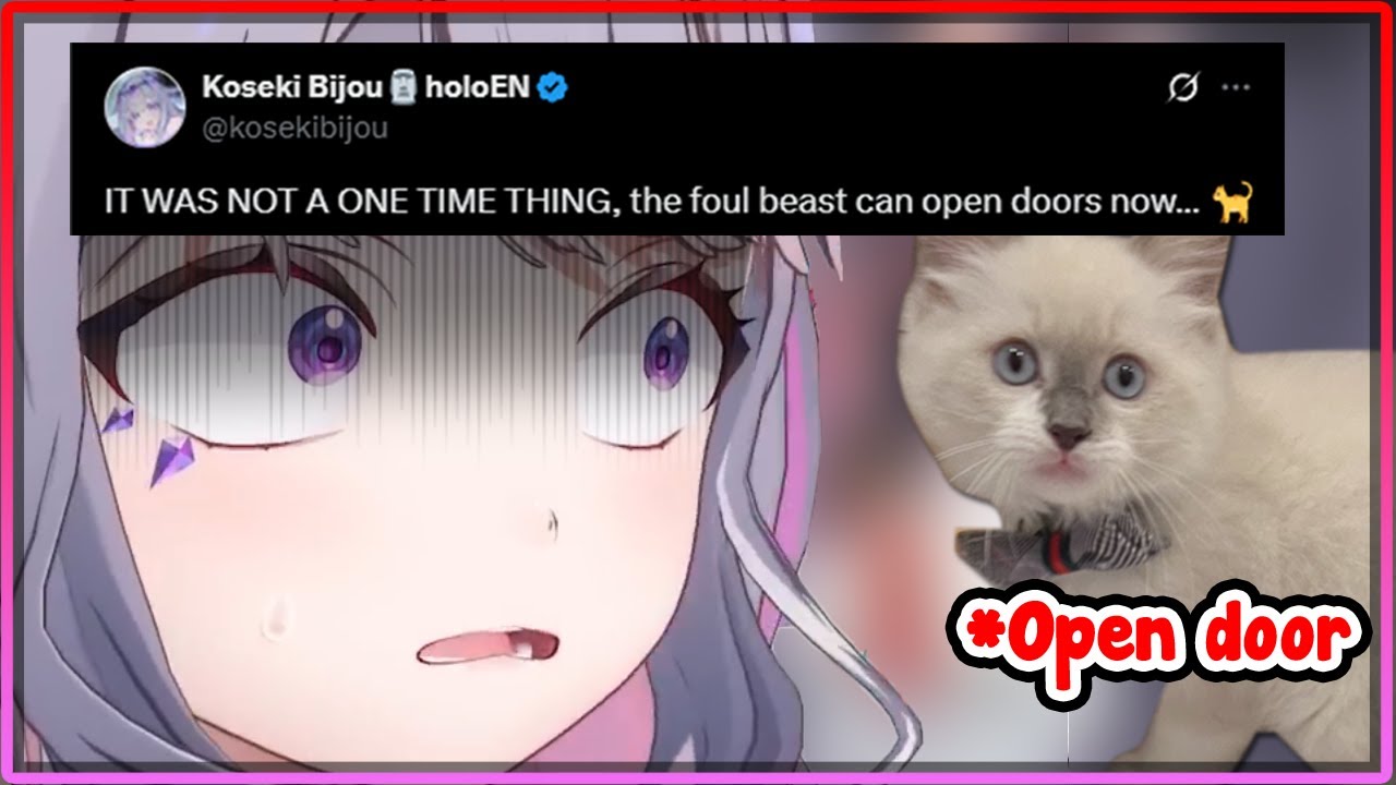 [ENG SUB/Hololive] Biboo finds out that John Cat can break into her room in the middle of streaming