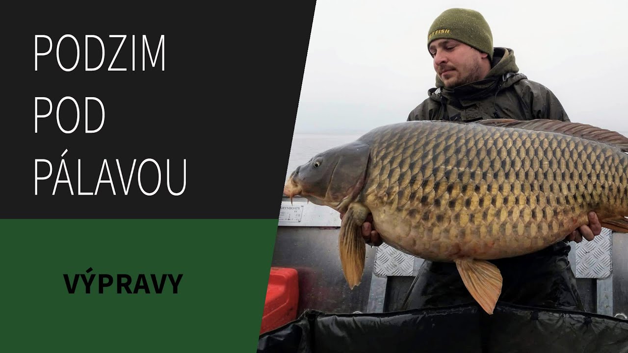 Ondřej Poštolka pod Pálavou