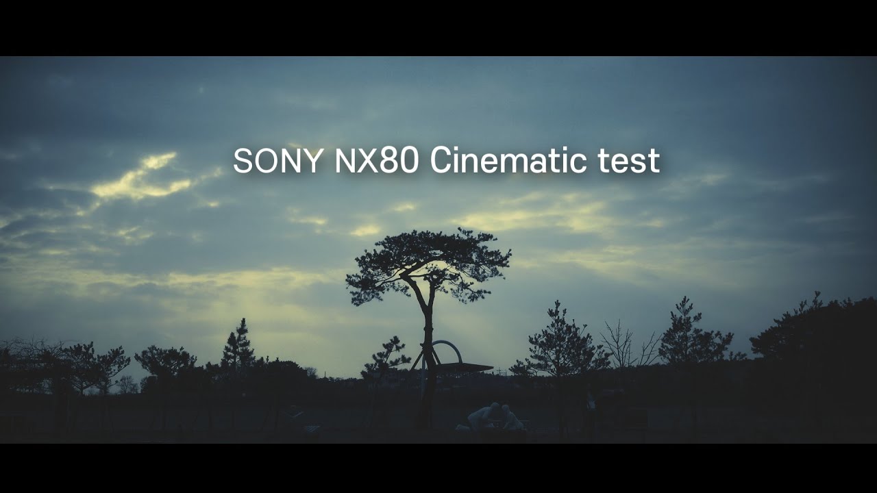 SONY NX80 Cinematic vlog video test 시네마틱 브이로그 (Adieu 2019)