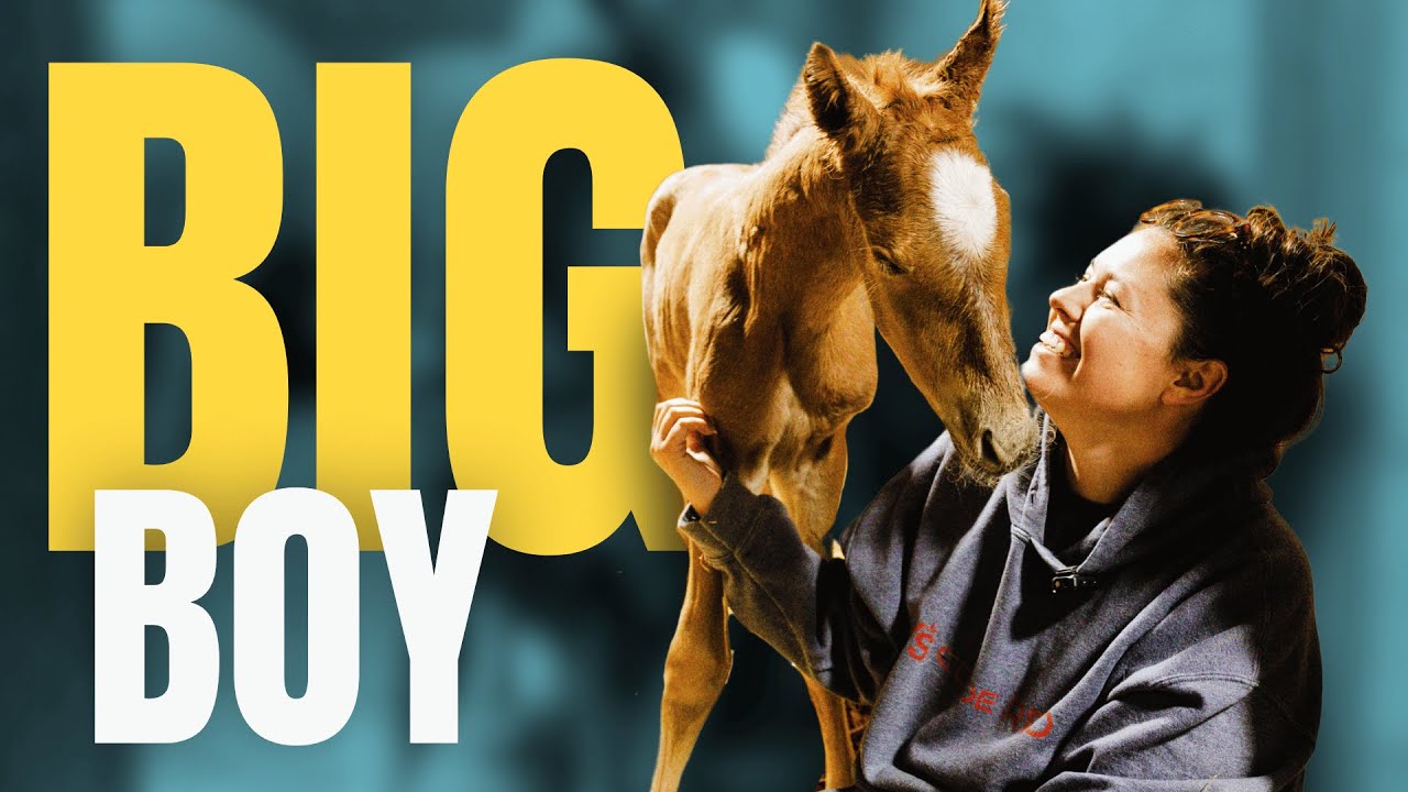 Is He Our BIGGEST Foal of the Year? | Only One More Baby...