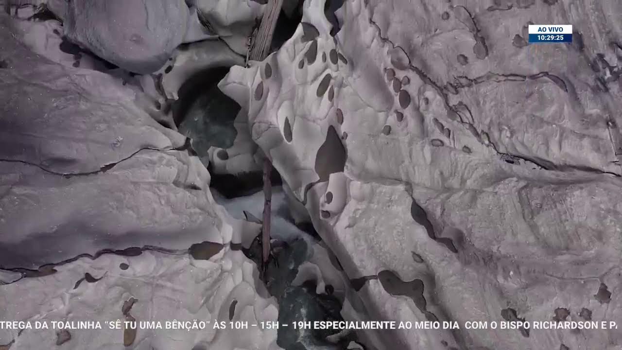 AO VIVO IMPD
