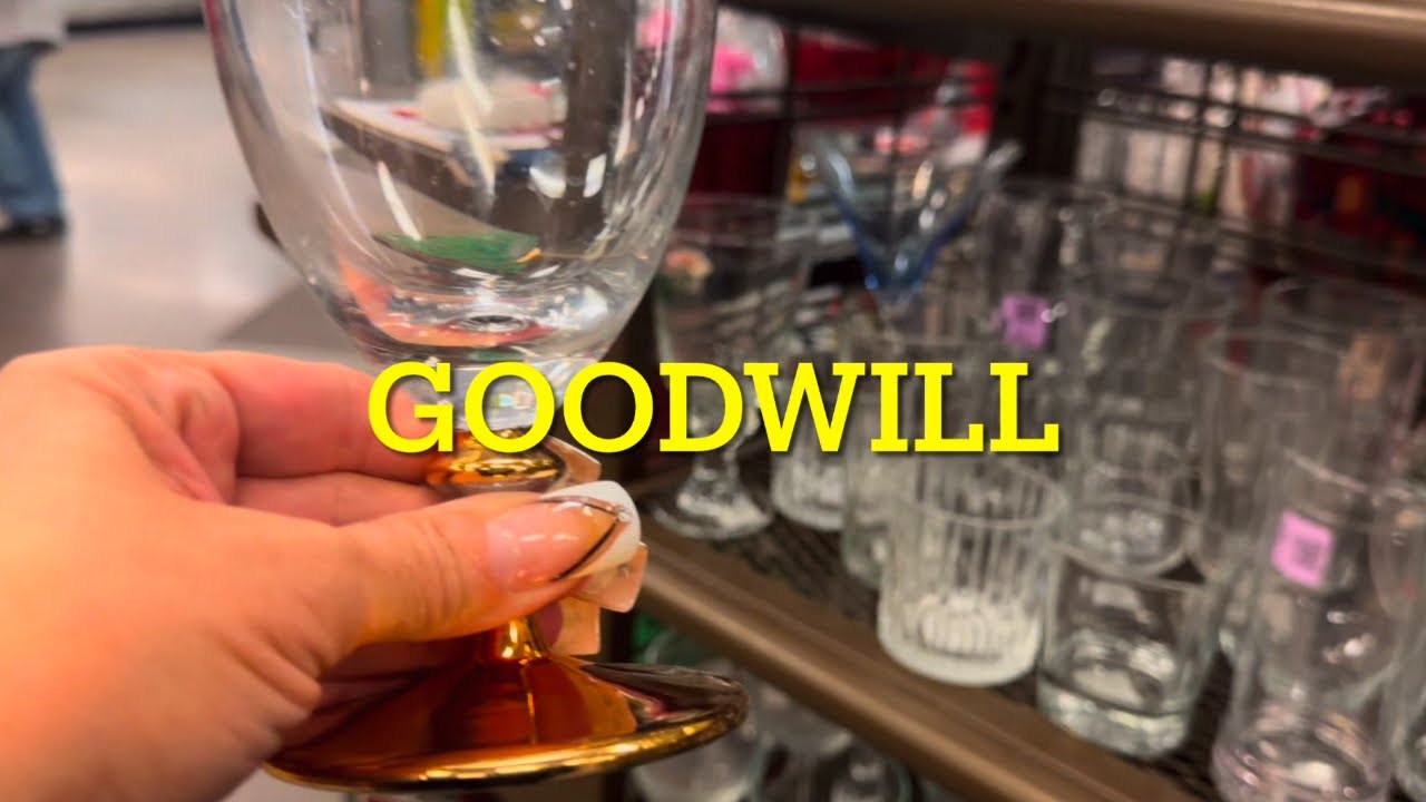 Shop With Me at The Goodwill / Thrift Adventure 