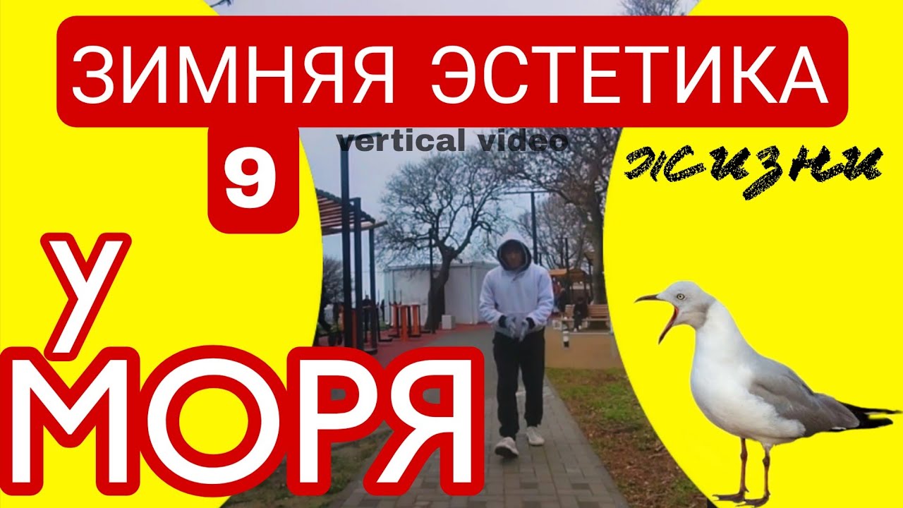 🟡 #АНАПА ☀️🌳🌊🌄 ЗИМНЯЯ ЭСТЕТИКА У МОРЯ🟡9️⃣