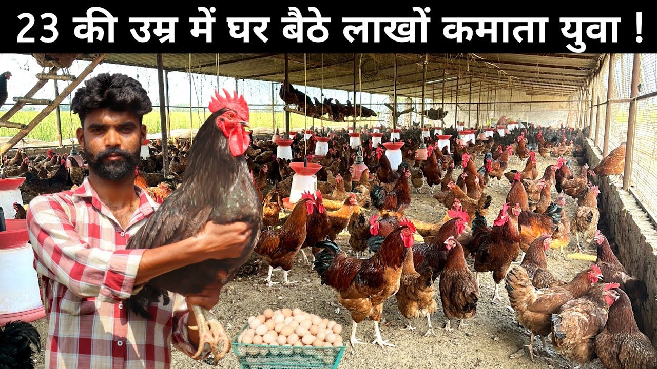 गांव में रहकर नौकरी से 10 गुना कमा रहा हूं Desi Murgi Palan से | Desi Poultry Farm Business Plan