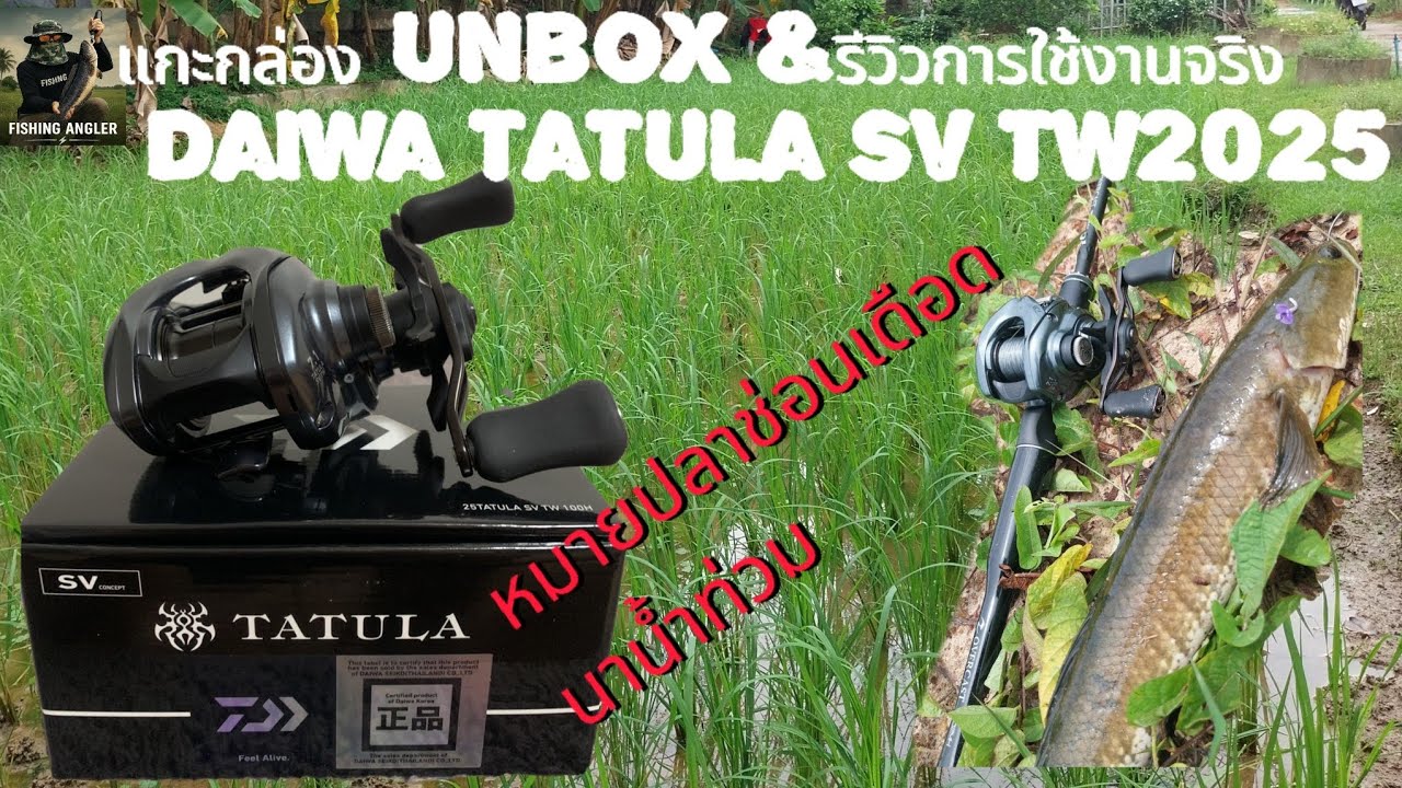 แกะกล่อง Unbox Daiwa tatula sv tw 2025 &รีวิวการใช้งานจริง ที่เดียว 11ตัว!! #ตกปลาช่อนนาน้ำท่วม