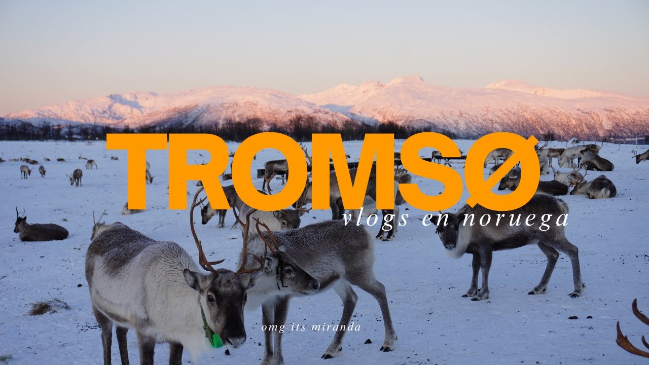 Noruega en Invierno: Tromsø, Fiordos Congelados y un Viaje en Tren Épico