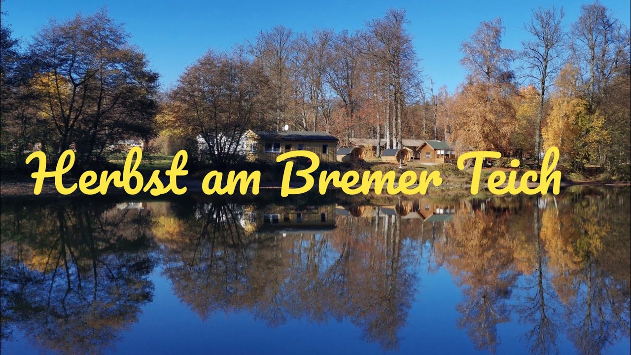 Harzer Wandernadel - Bremer Teich  Stempelstelle 196