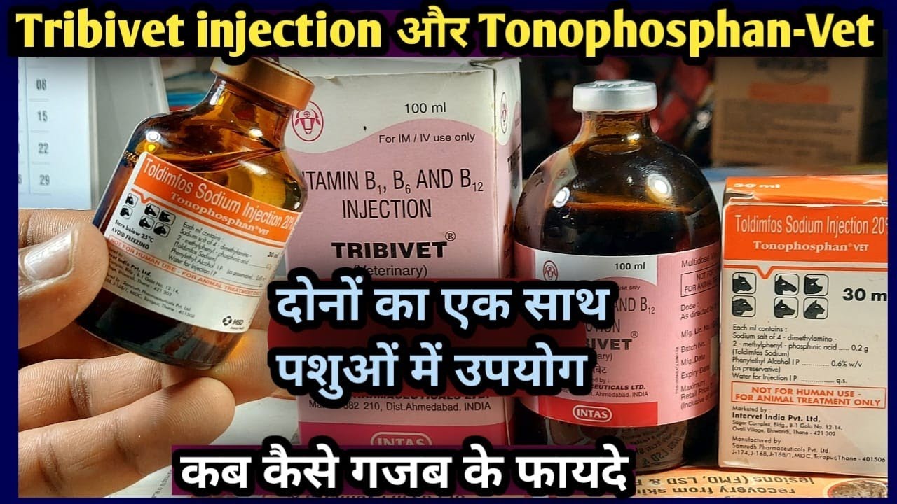 Tribivet injection और Tonophosphan Vet injection दोनों का एक साथ में उपयोग गजब के फायदे कब कैसे करें