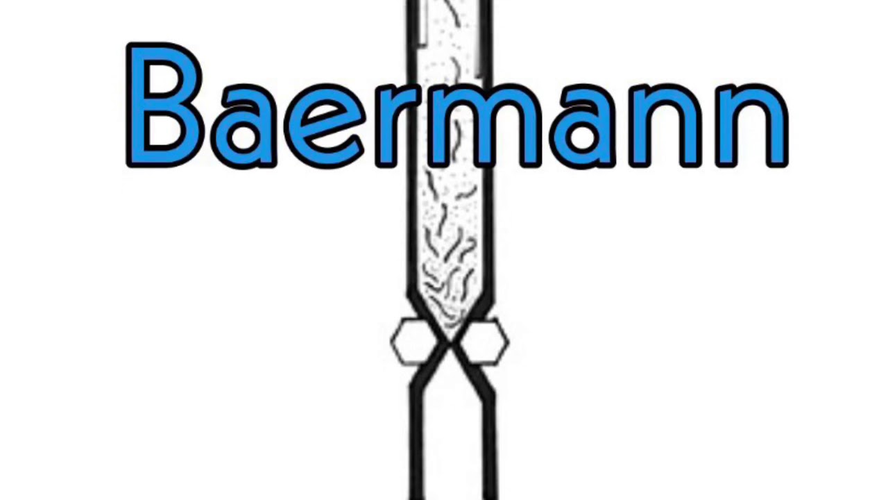 Técnica de Baermann