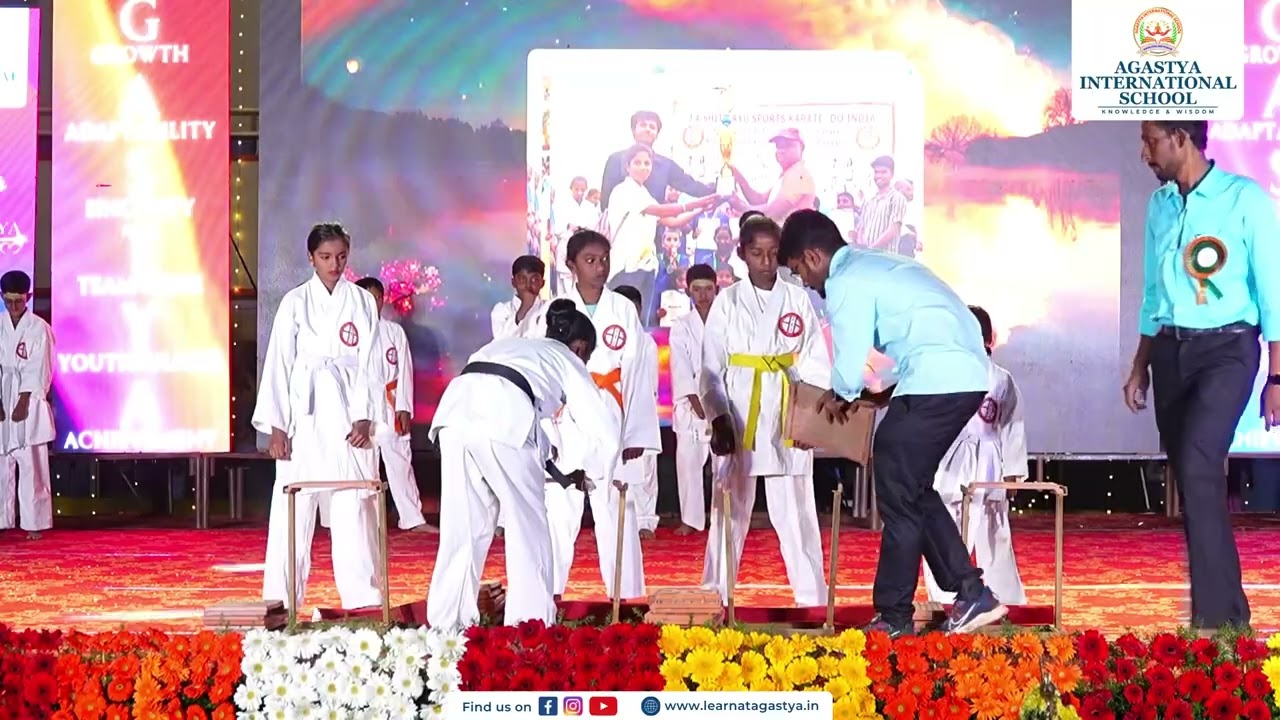 Karate Display