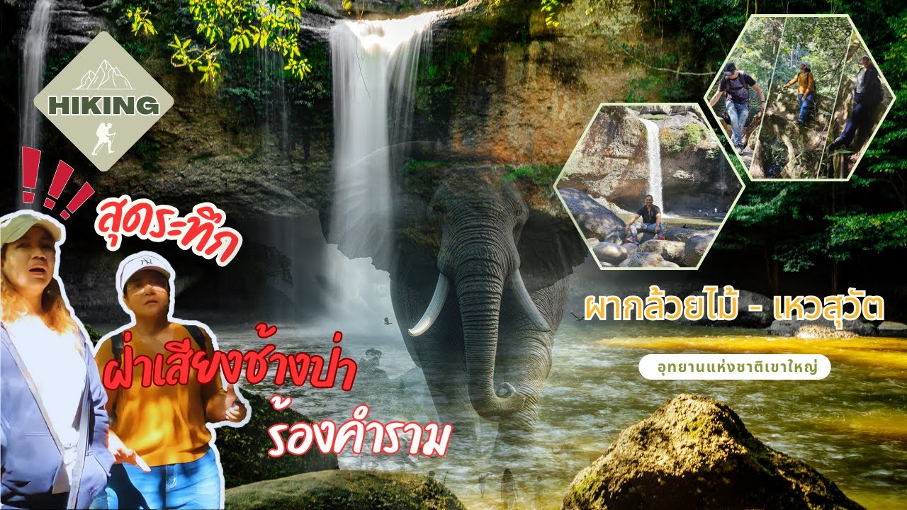 เดินป่า(Hiking) เขาใหญ่สุดระทึกฝ่าเสียงช้างร้องคำราม เก็บระยะ รับโอโซนแบบจุกๆ Khao Yai National Park