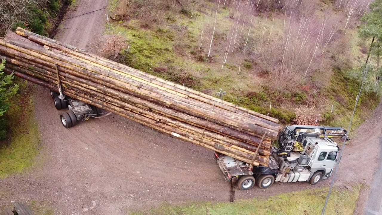 Transport de grumes dans les Vosges chez ALV TRANSPORTS 🚛🌲🏔🇨🇵