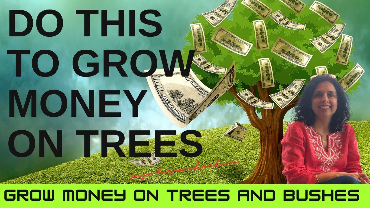 How to grow money on trees? AstroNumeroVastu Tips Jaya Karamchandani