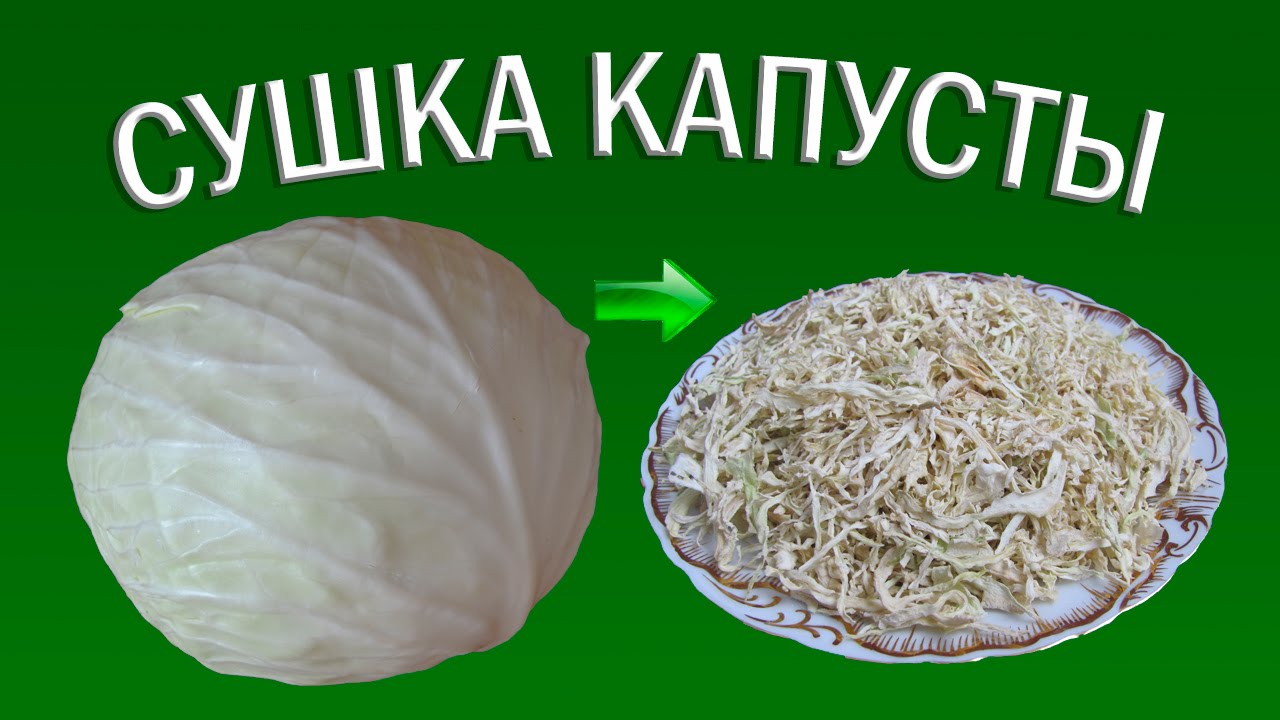 Сушка белокочанной капусты | Сушеные овощи | Еда в поход