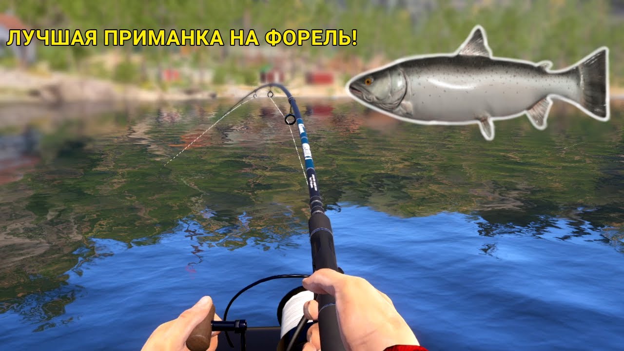 ЛУЧШАЯ ПРИМАНКА НА ФОРЕЛЬ! САМЫЕ ЗРЕЛИЩНЫЕ ПОКЛЕВКИ НА КУОРИ!