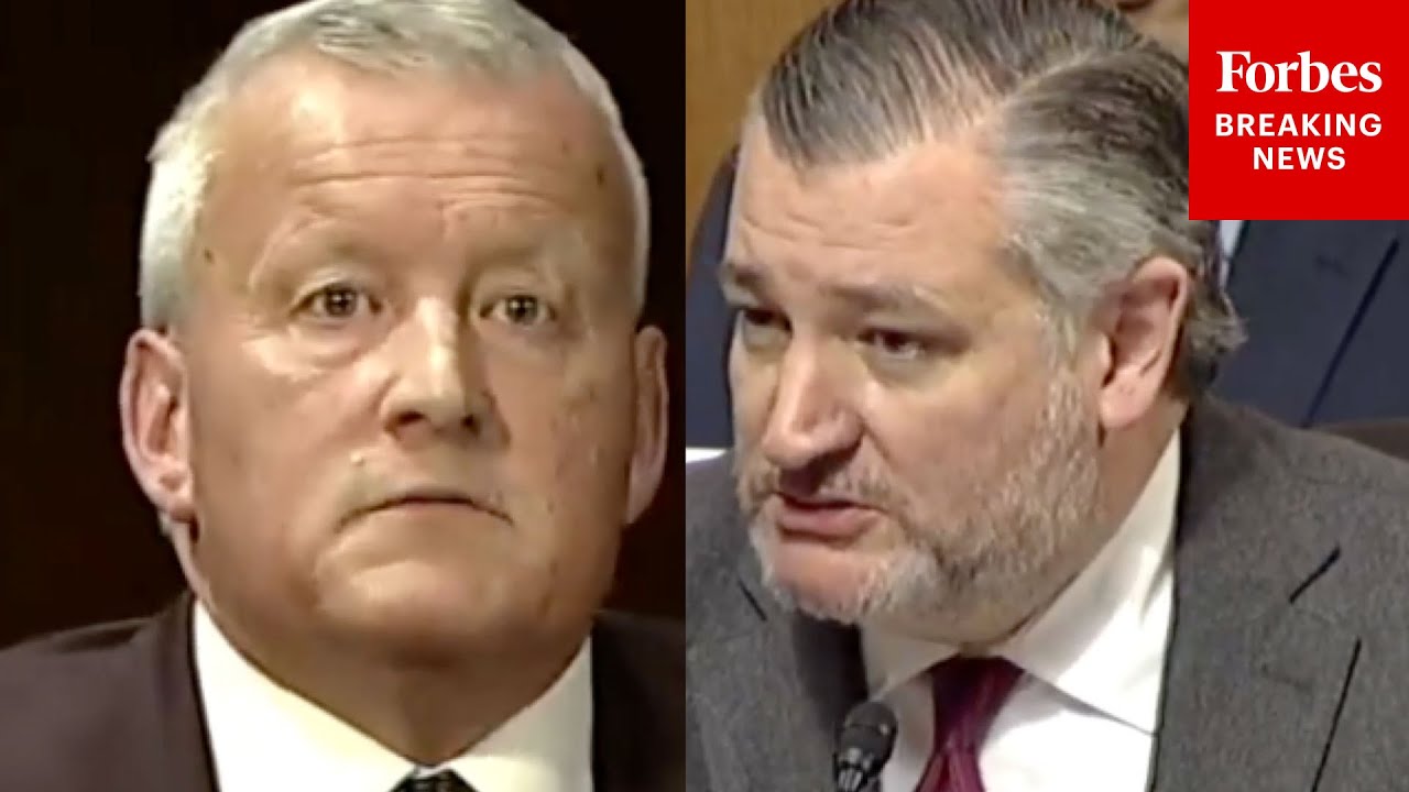 Ted Cruz Questions Witness About His Probe Into Minnesota Fraud
