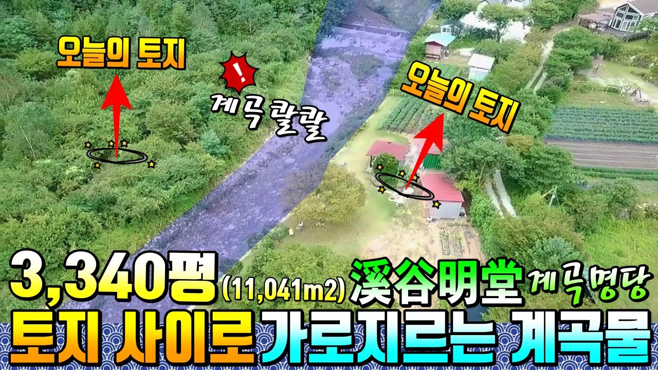 무려 2억원 인하! 콸콸 계곡이 흐르는 양옆이 모두 내땅! 최고의 계곡땅