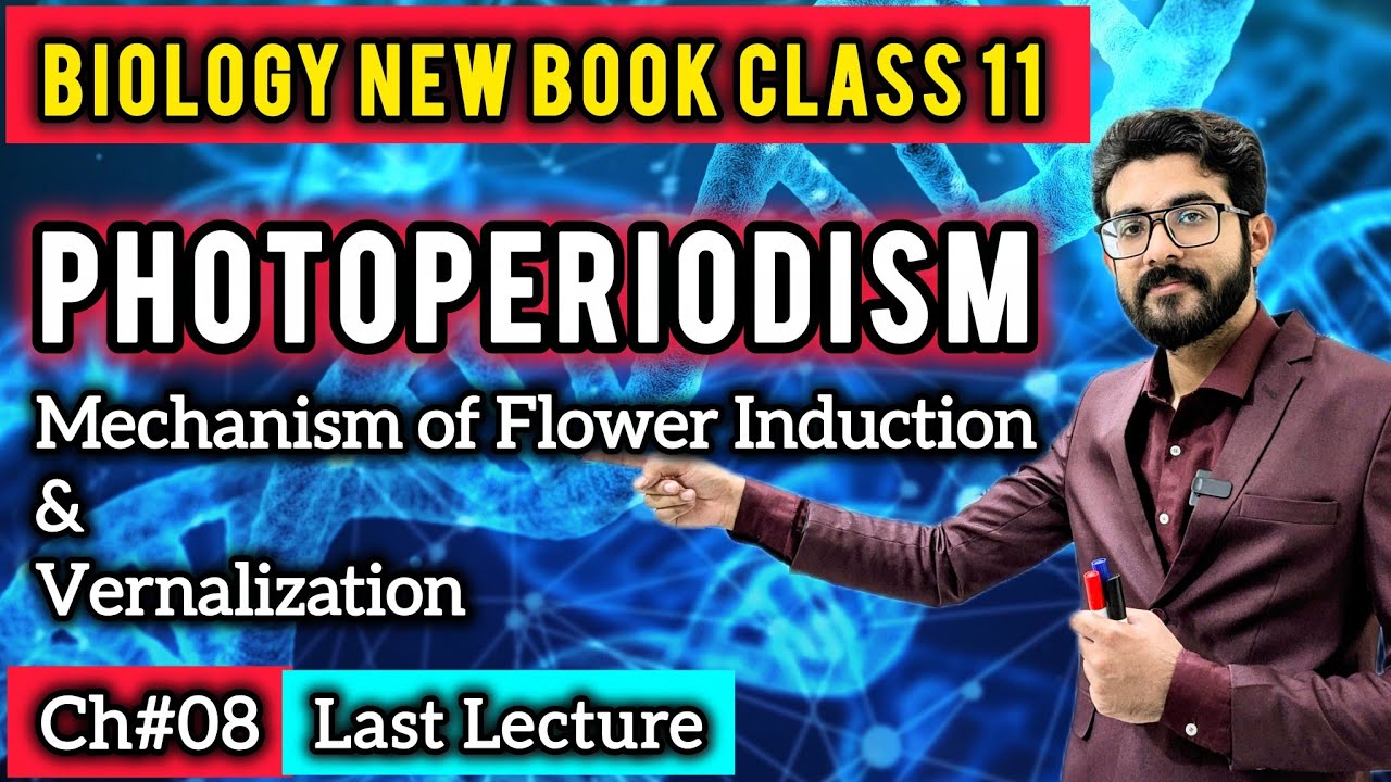 Photoperiodism: Mechanism of Flower Induction & Vernalization | Class 11 Biology New Book