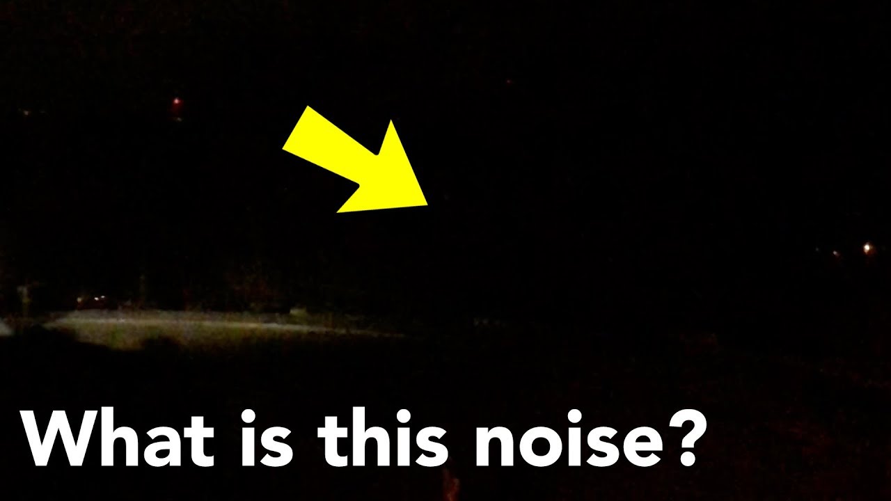 Creepy Noises Coming From Woods In My Backyard at 11 PM (VLOG)