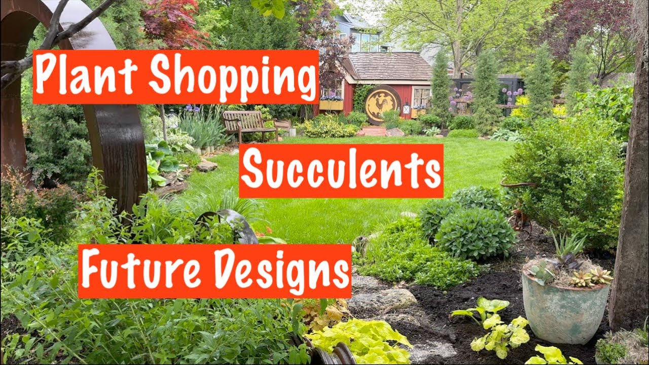Plant Shopping, Succulents, Future Designs