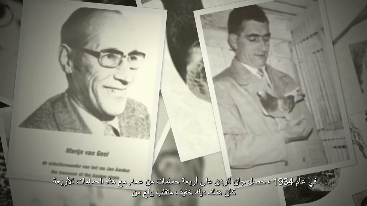 قصة جان أردن مسافة طويلة