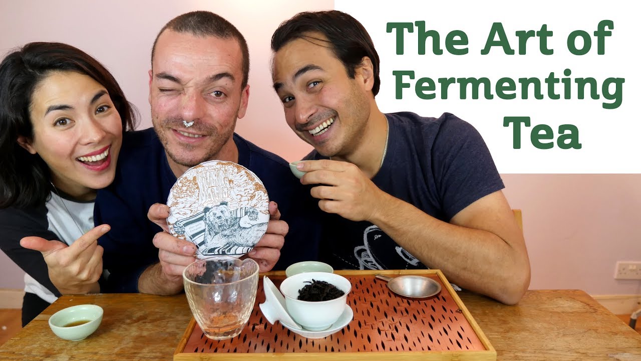 The Art of Fermenting Tea