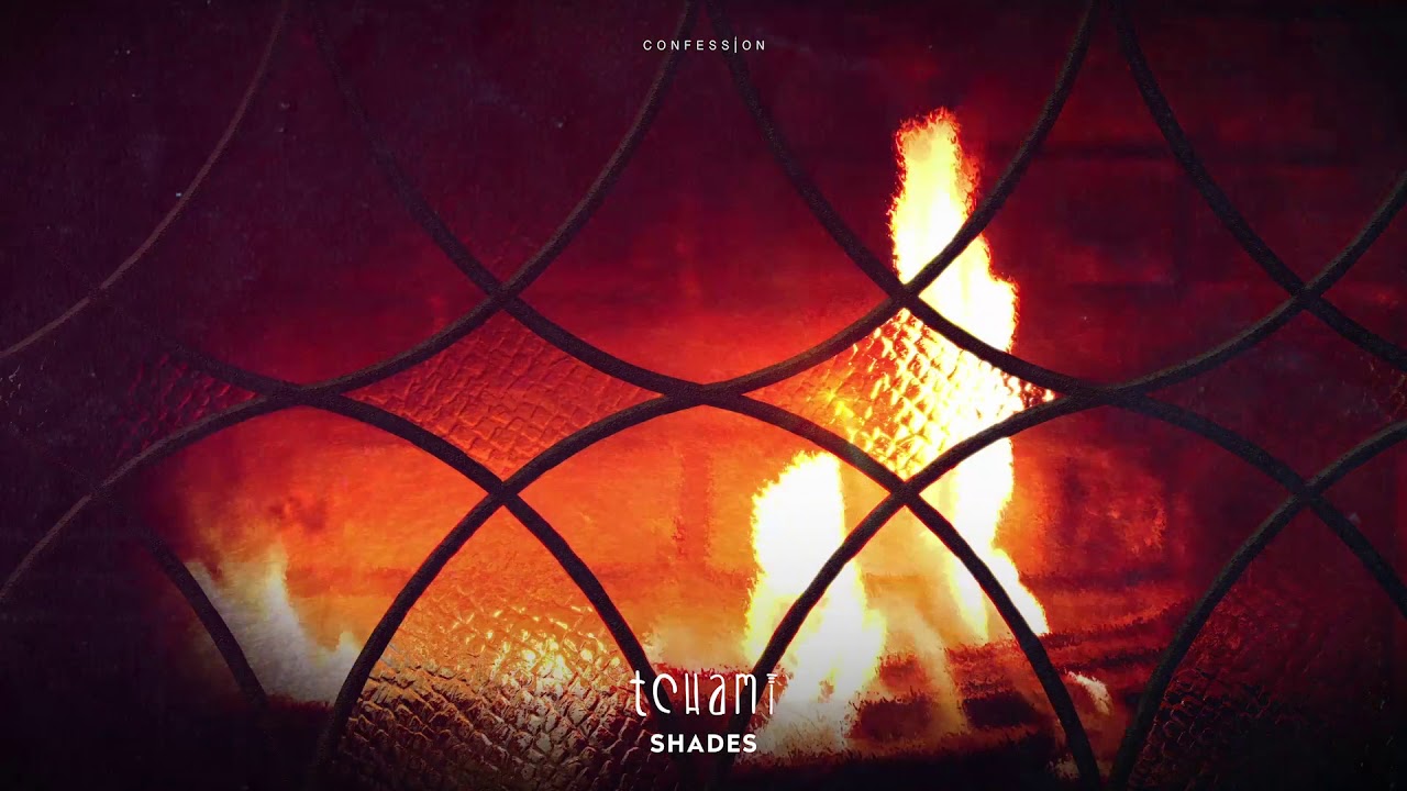 Tchami - Shades (feat. Donnie Sloan & Ricky Ducati)