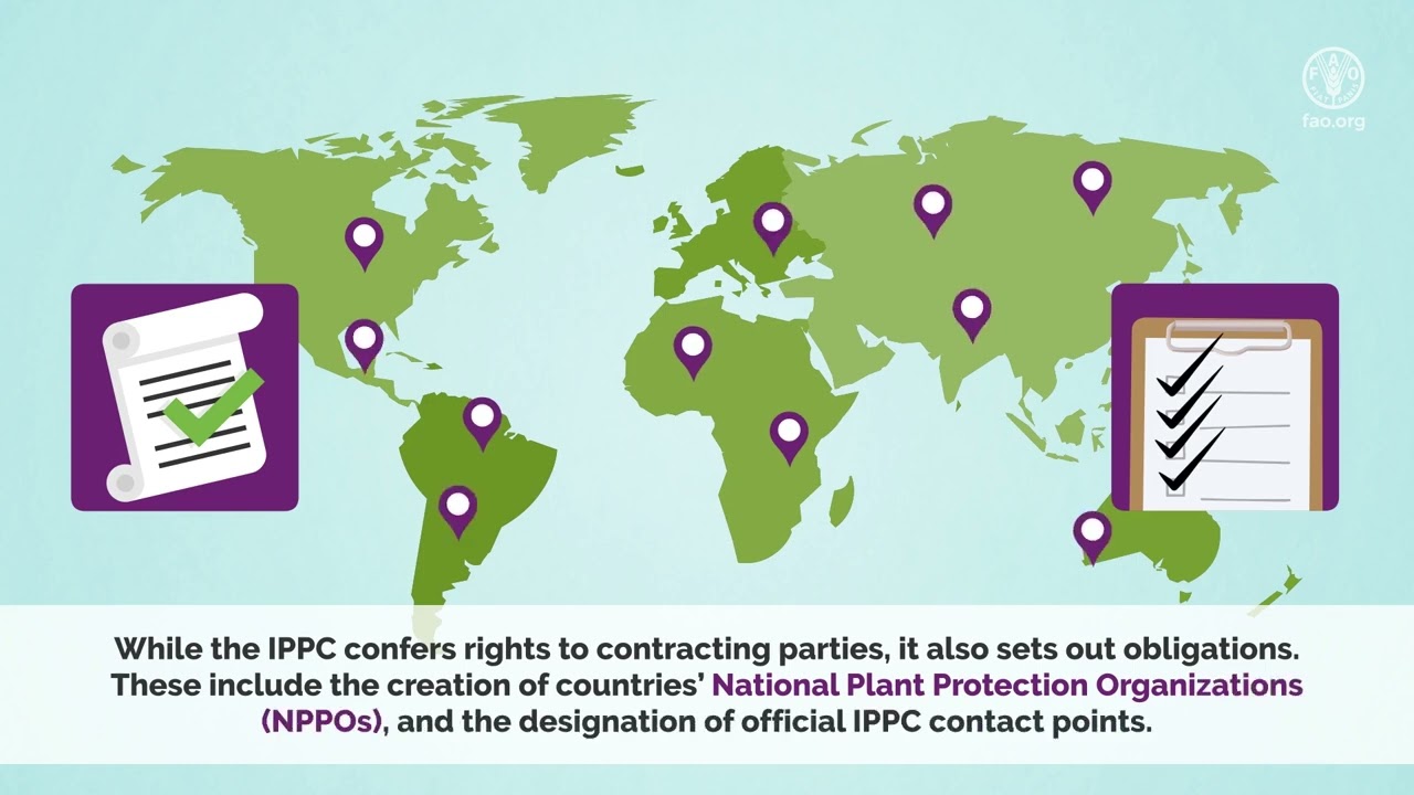 What are National Plant Protection Organizations (NPPOs) and why are they important?
