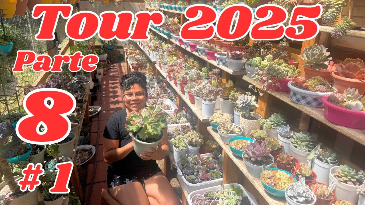 Penúltimo videito de este Tour !! 