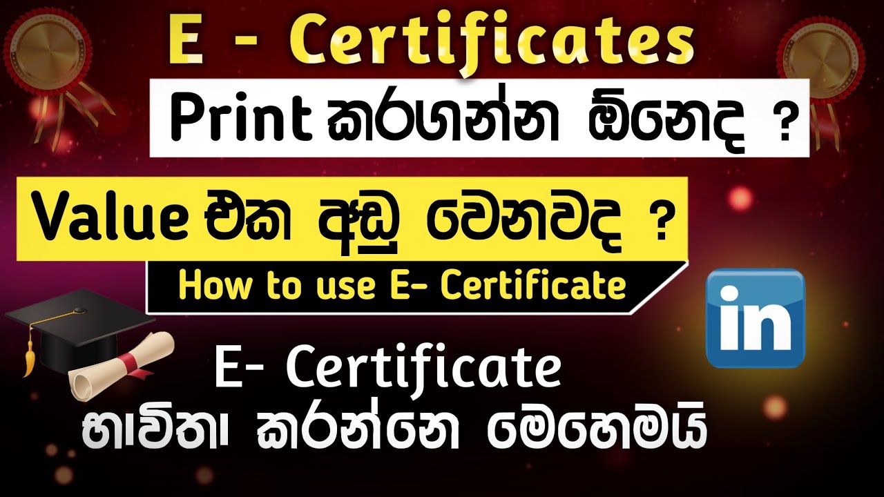 E-Certificate 2025 Ultimate Guide 💡 | Print Instantly, Prove 100% Value & Get Jobs Anywhere 