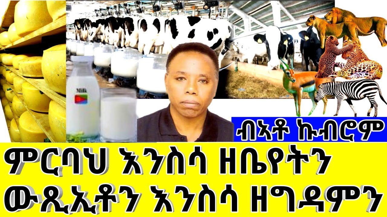 ምርባህ እንስሳ ዘቤየትን ውጺኢቶን እንስሳ ዘግዳምን