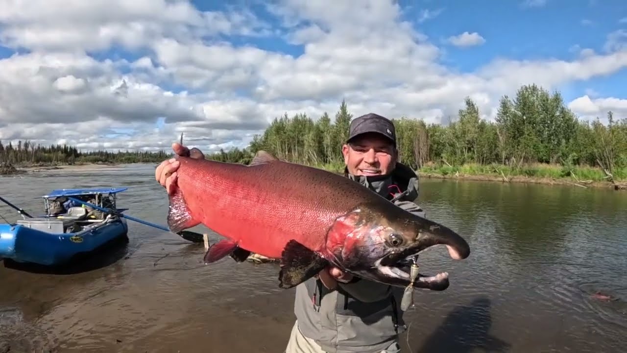 Crazy Aniak River, Alaska 2025