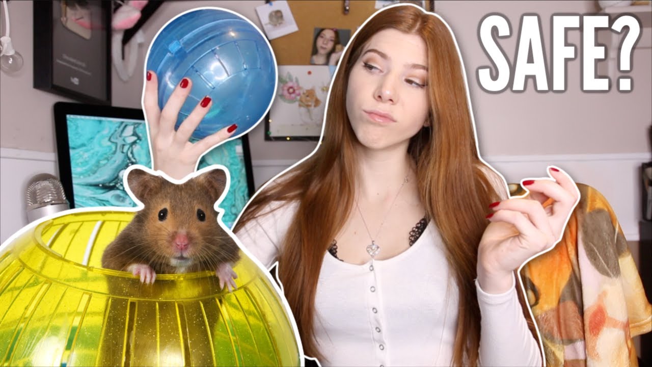 Are Hamster Balls SAFE?