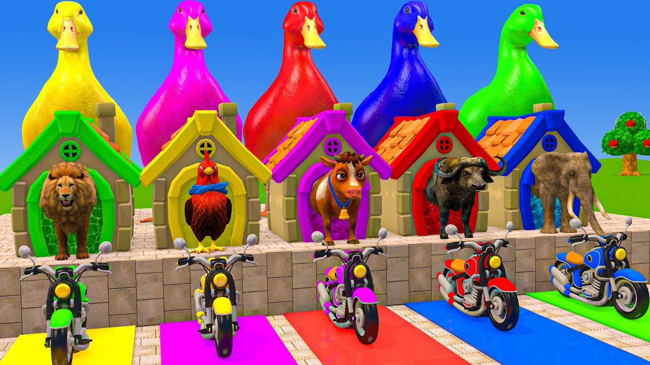 Long Slide Game With Cow Elephant Gorilla Hippopotamus Tiger 3d Animal Game Funny 3d Animals