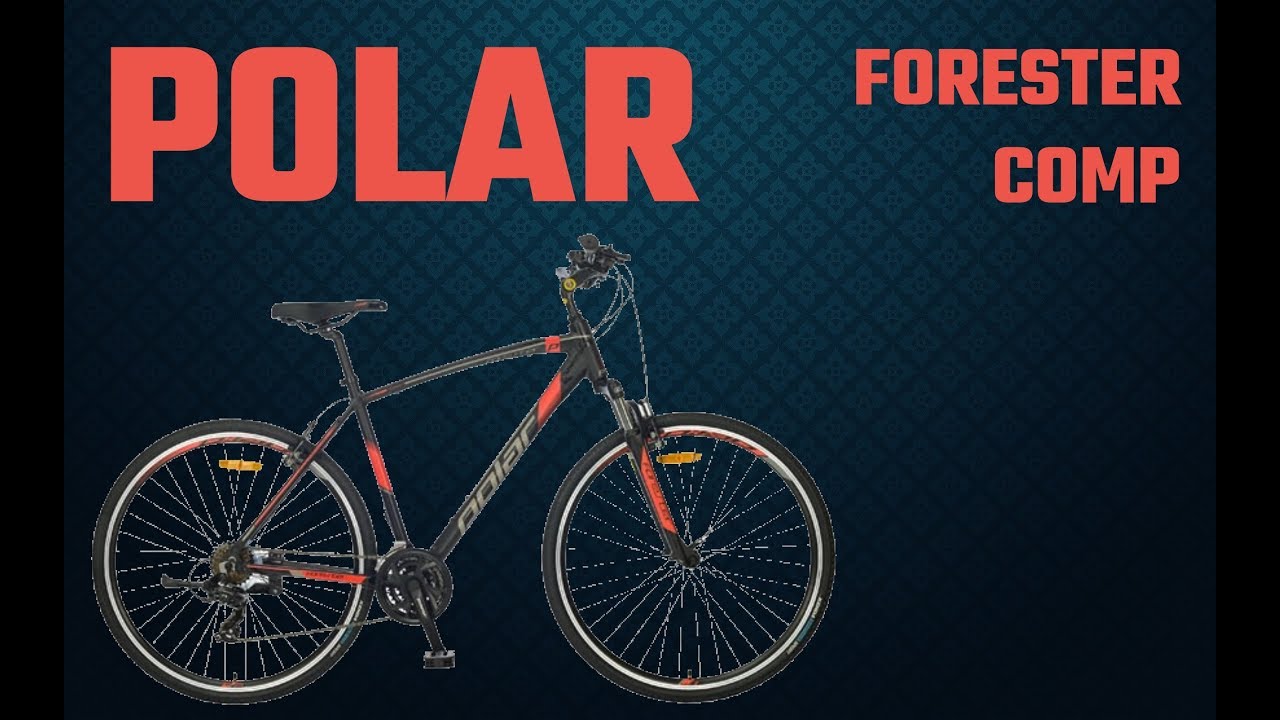 Polar Forester Comp bicikl