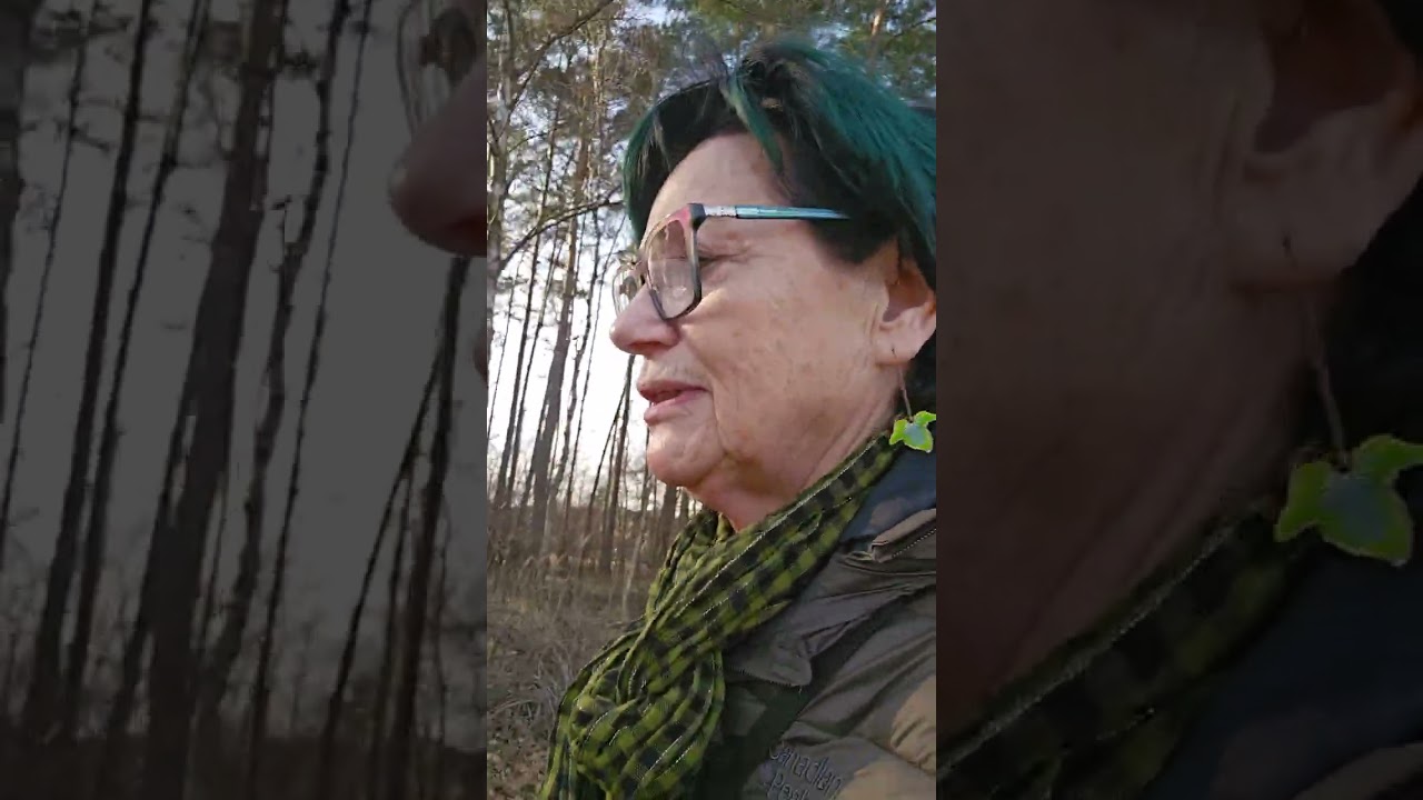 Powiem Ci w słowach kilku co myślę o wilku....