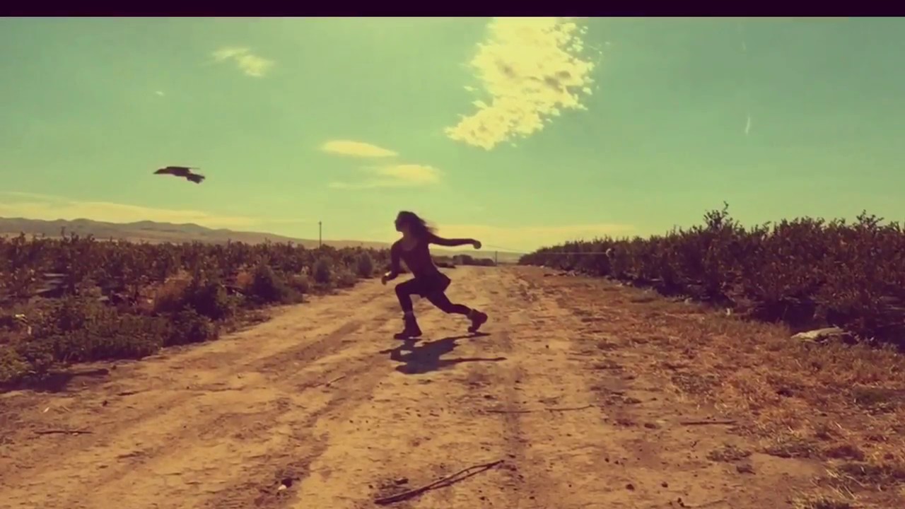 Lureflying Barbary Falcons