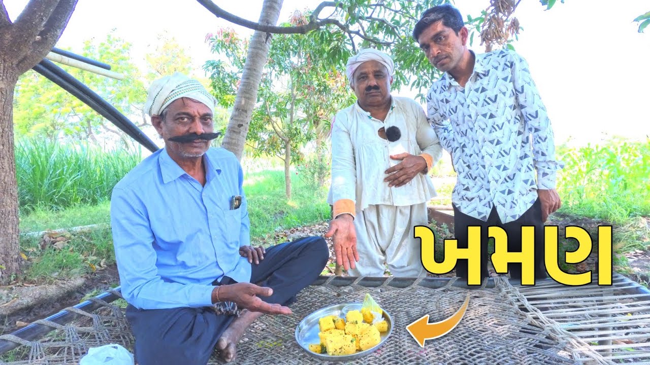 આજે ખમણ ની પાર્ટી કરી 😄 | બપોર નું ભોજન ટીમ સાથે | Gamno Shimado Team | Kishor Gohil