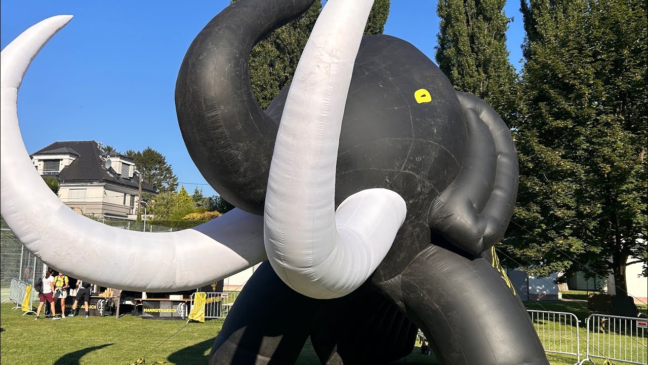 Mammutmarsch Wien| 2024| DIE Hitzeschlacht🔥​⁠