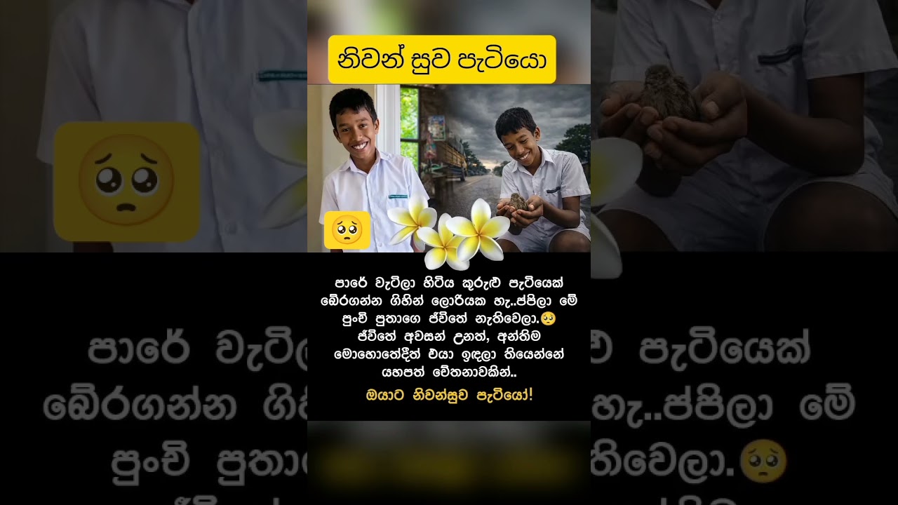නිවන් සුව පැටියෝ😭🥺 #srilanka#news#new#viral#trending#music#gossip#funny#youtubeshorts