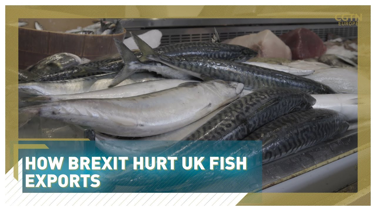 How Brexit hurt UK fish exports