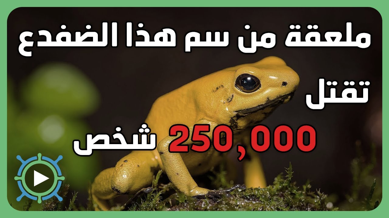 ما لا تعرفه عن العالم | ج3
