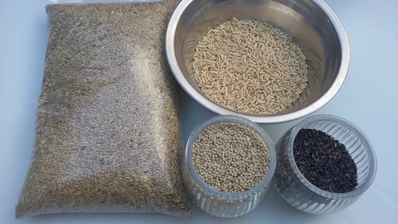 Super mistura de sementes para reprodução de canarios belgas !!! -Canaril do Alemão