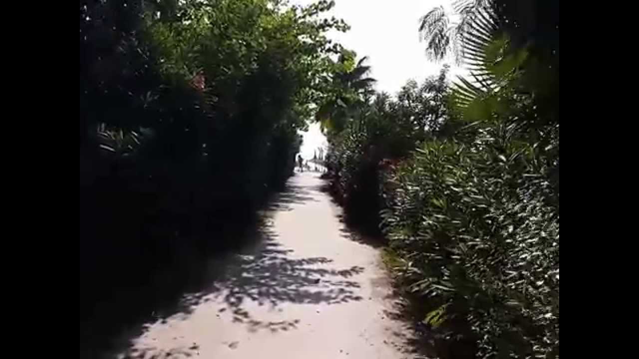 Sinatra Hotel 4* дорога на пляж, море. Чамьюва, Турция (Camyuva, Turkey)