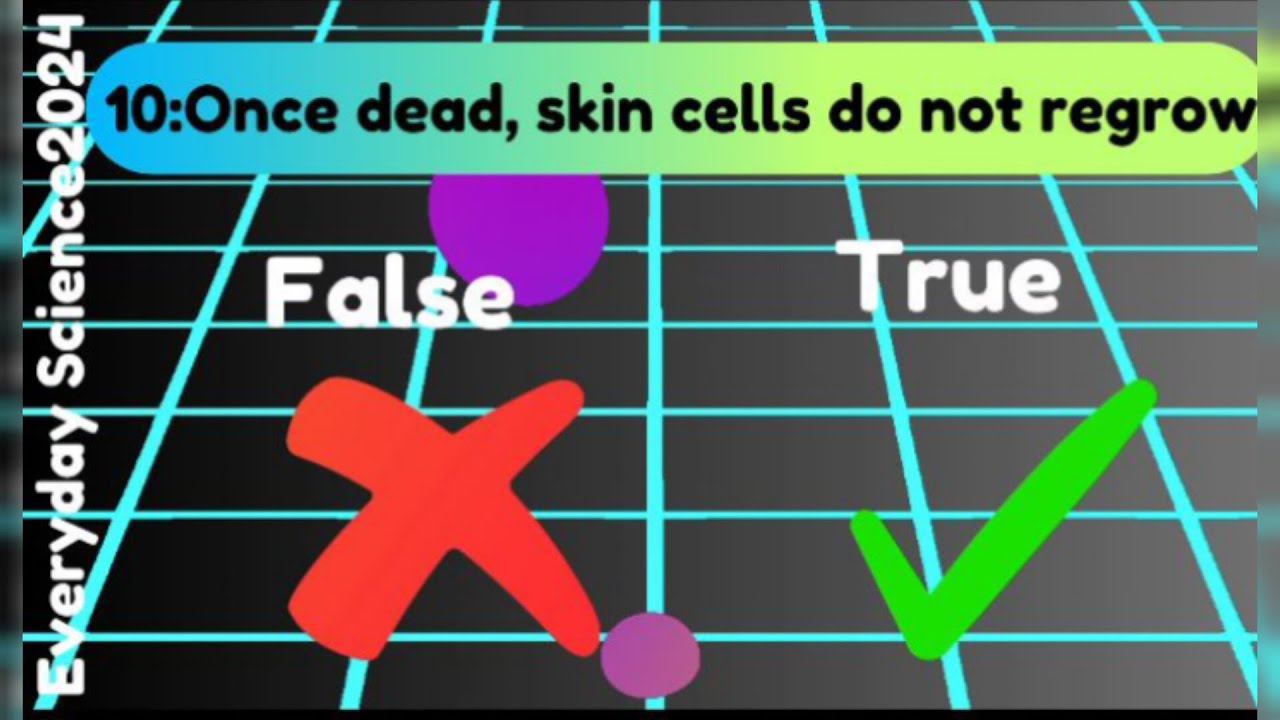 EveryDay Science "20 True or False Facts That Will Blow Your Mind!" 