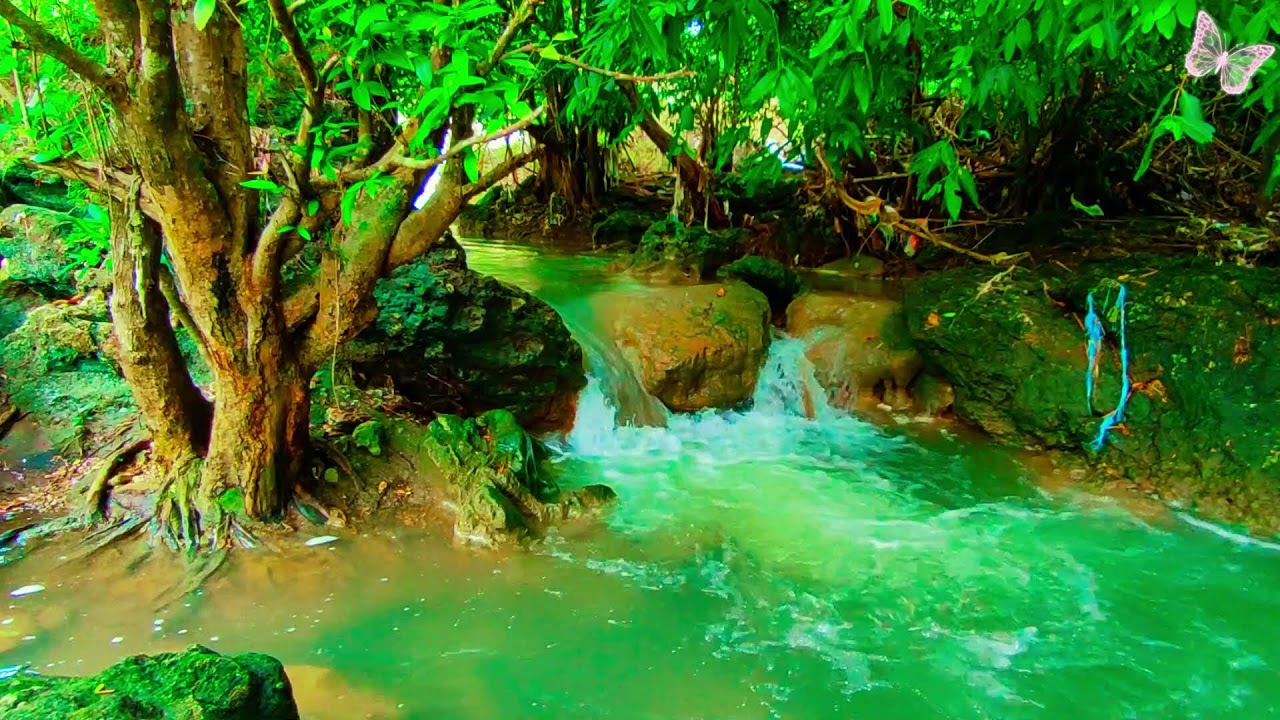 Relaxing Music For Stress Relief, Anxiety and Depressive States🌲Heal Mind, Body and Soul 42