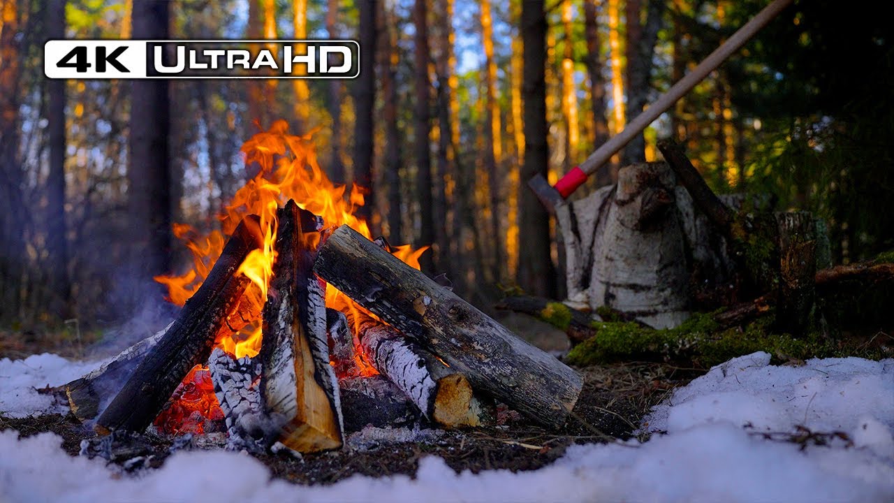 Cozy Campfire NO ADS 4K: 12 Hours of Relaxing Fire Sounds in Spring Forest 🌼🔥
