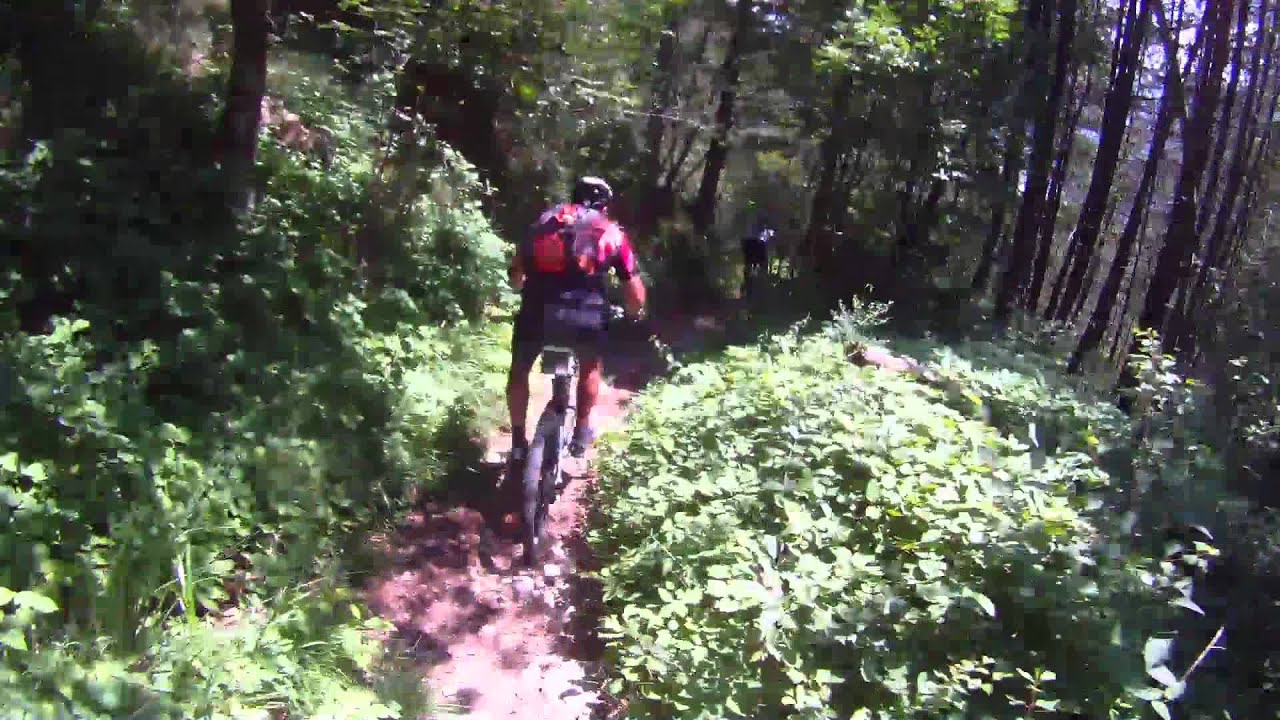 Mogessa 2012 2